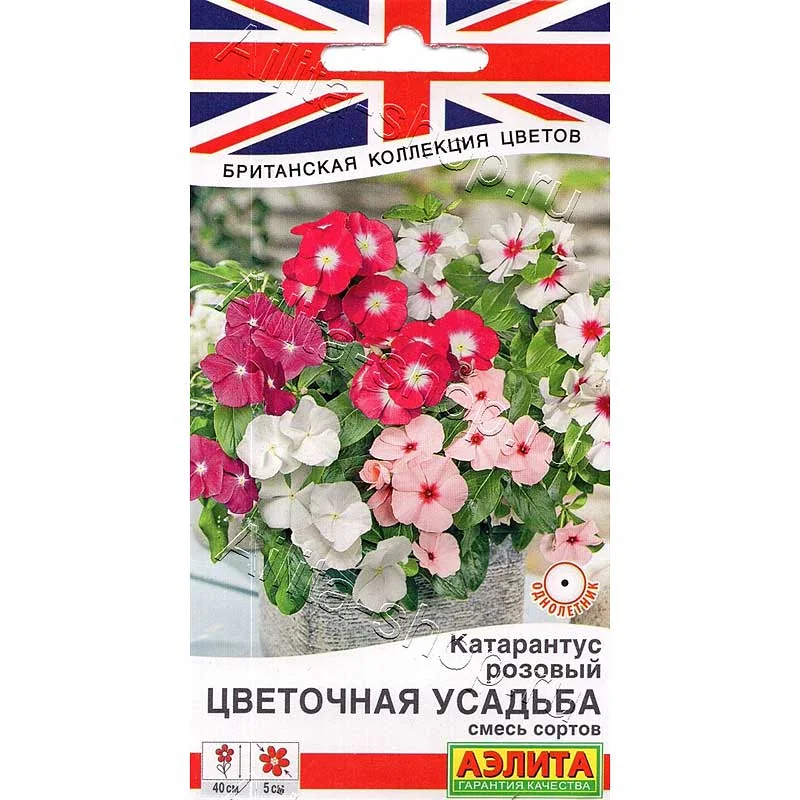 Семена цветов Катарантус Цветочная усадьба смесь Аэлита — фотография товара