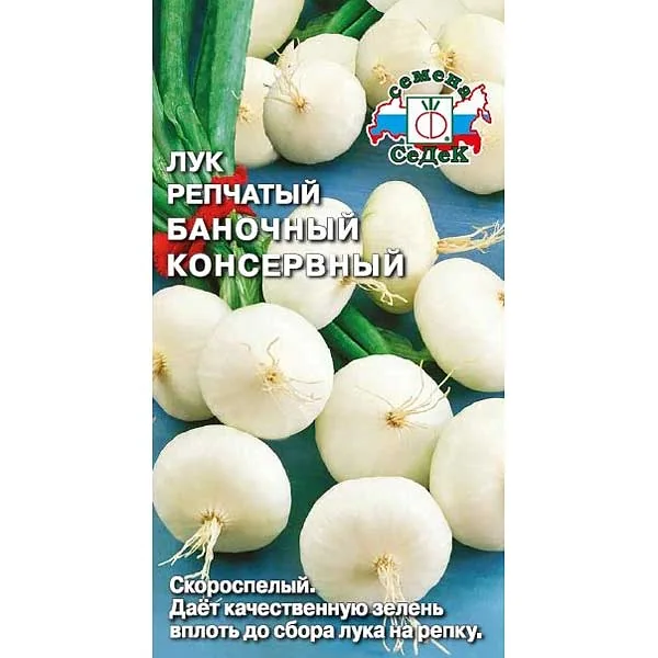 Семена Лук Баночный консервный Седек — фотография товара