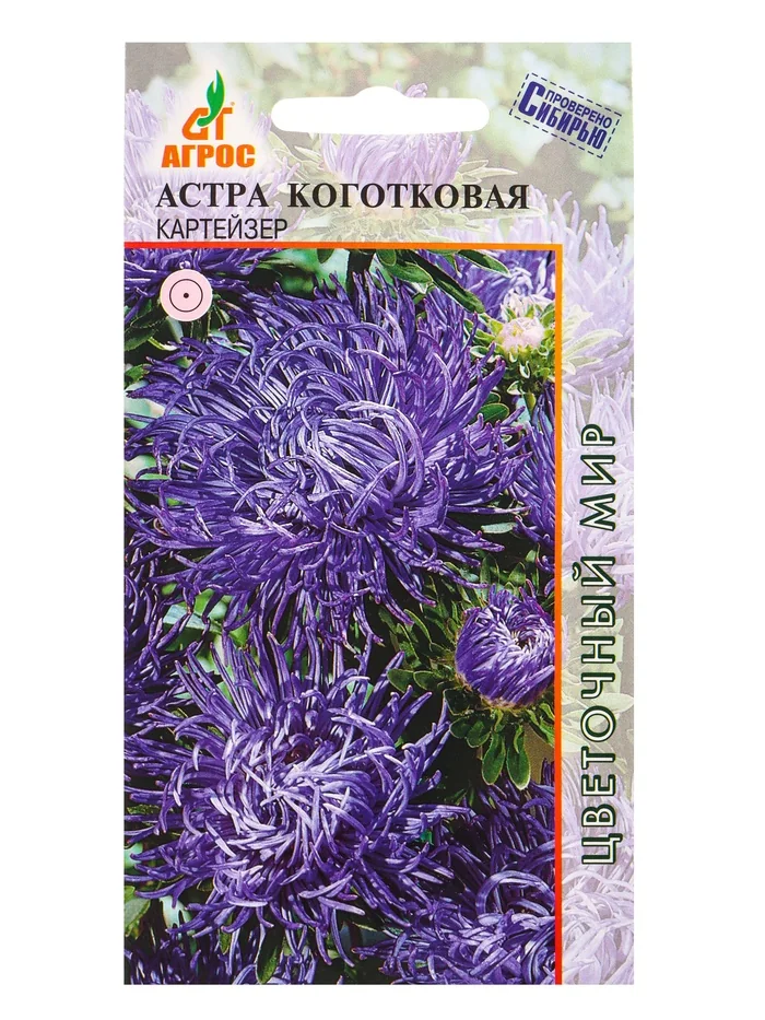 Семена цветов Астра Коготковая Картейзер Агросс — фотография товара