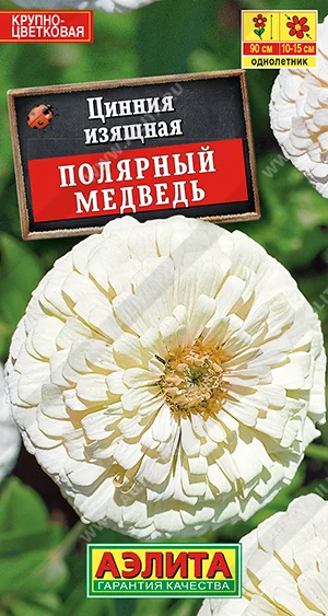 Семена цветов Цинния Полярный медведь Аэлита — фотография товара