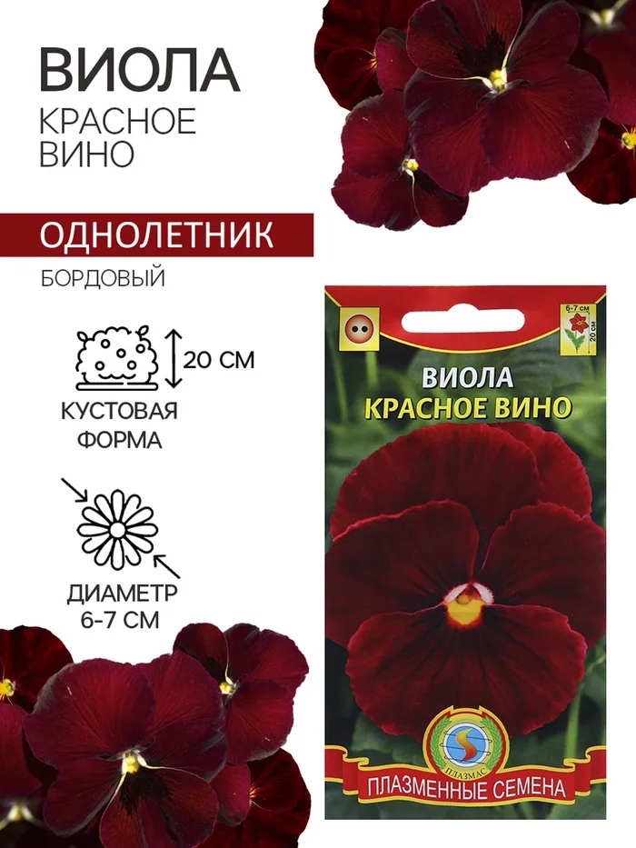 Семена цветов Виола Красное вино Плазмас — фотография товара