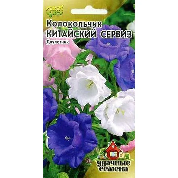 Семена цветов Колокольчик Китайский сервиз Удачные семена — фотография товара