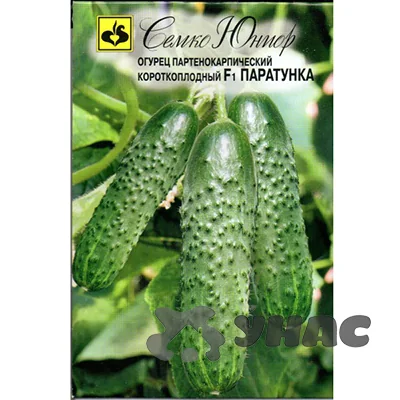 Семена Огурец Паратунка Семко — фотография товара