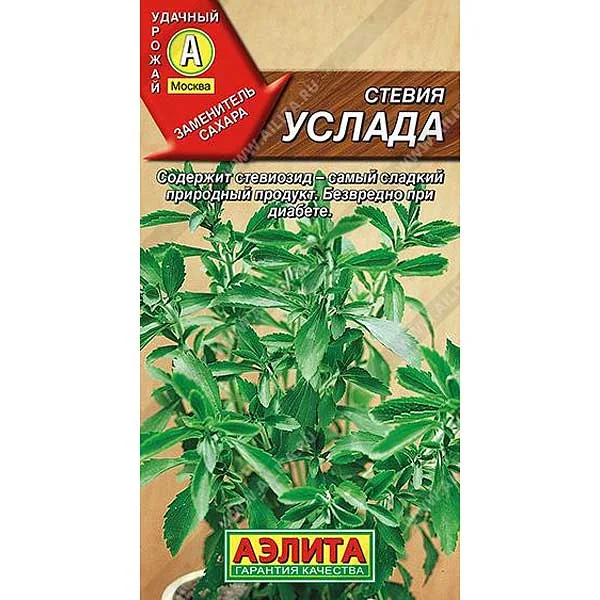 Семена Стевия Услада Аэлита — фотография товара