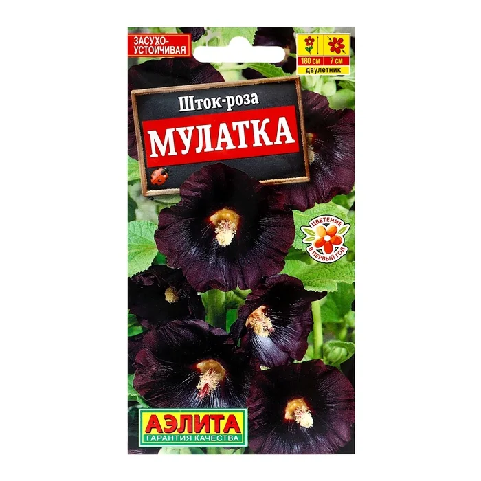 Семена цветов Шток роза Мулатка Аэлита — фотография товара
