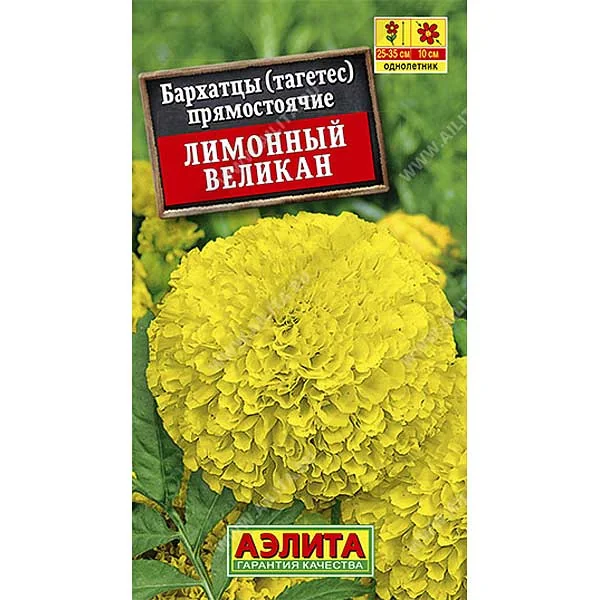 Семена цветов Бархатцы Лимонный Великан Аэлита — фотография товара