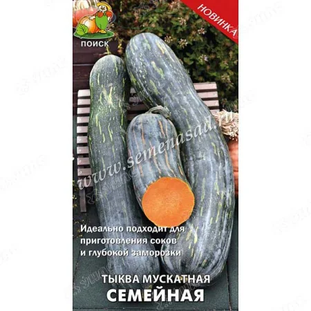Семена Тыква Семейная Поиск — фотография товара